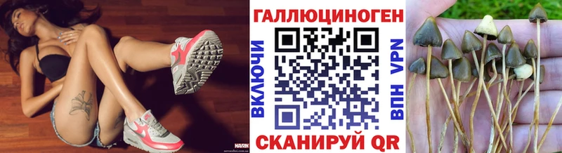 Псилоцибиновые грибы GOLDEN TEACHER  Калязин 
